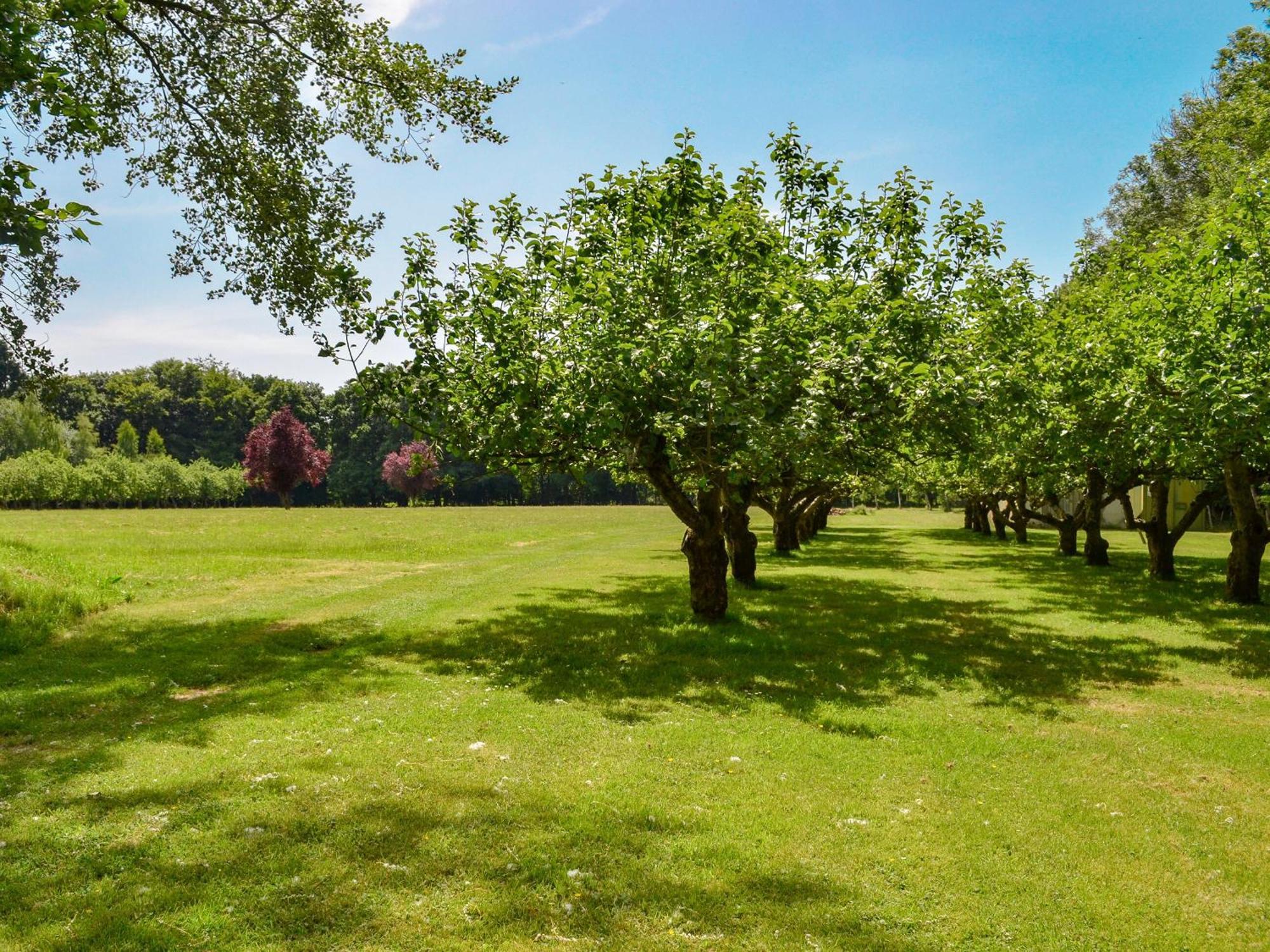 Deer Cottage 2 Uk39332 Biddenden Dış mekan fotoğraf